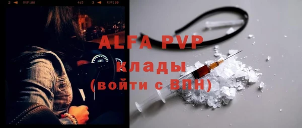 дмт Бородино