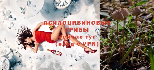 ешки Волоколамск