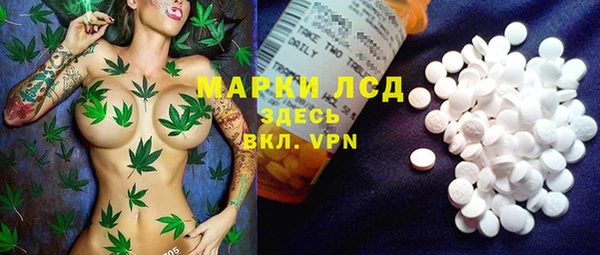 мдпв Снежинск