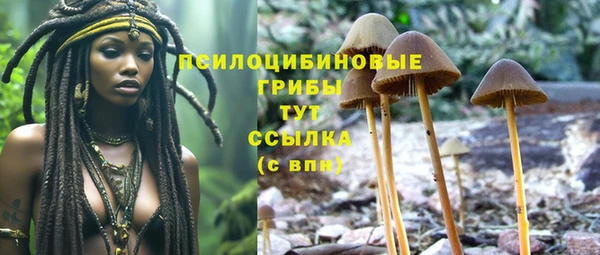 прущая мука Сосновый Бор
